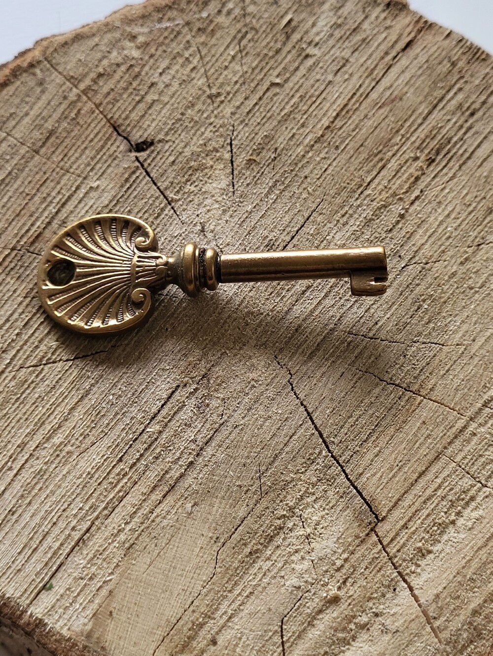 Vintage Decorative Brass Skeleton Key